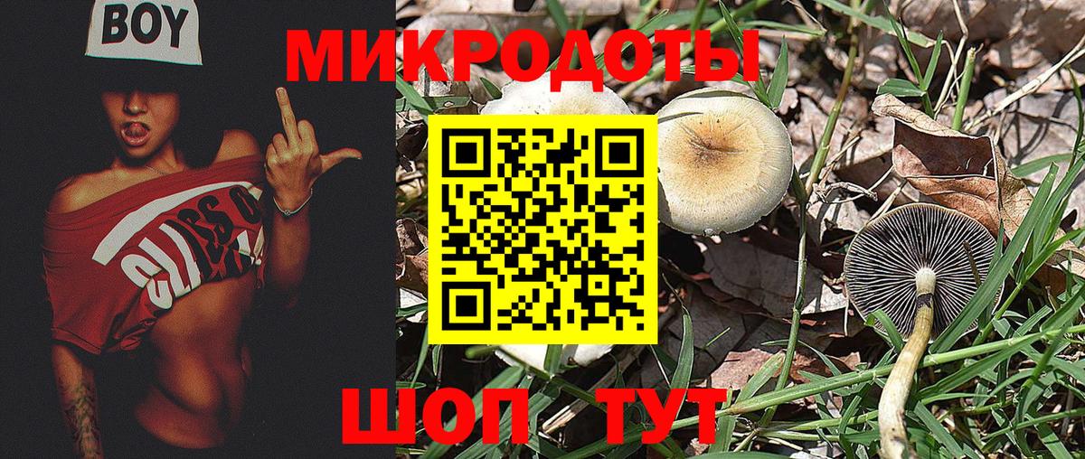 Псилоцибиновые грибы ЛСД  Вход с VPN  Псилоцибиновые грибы прущие грибы  Оренбург 
