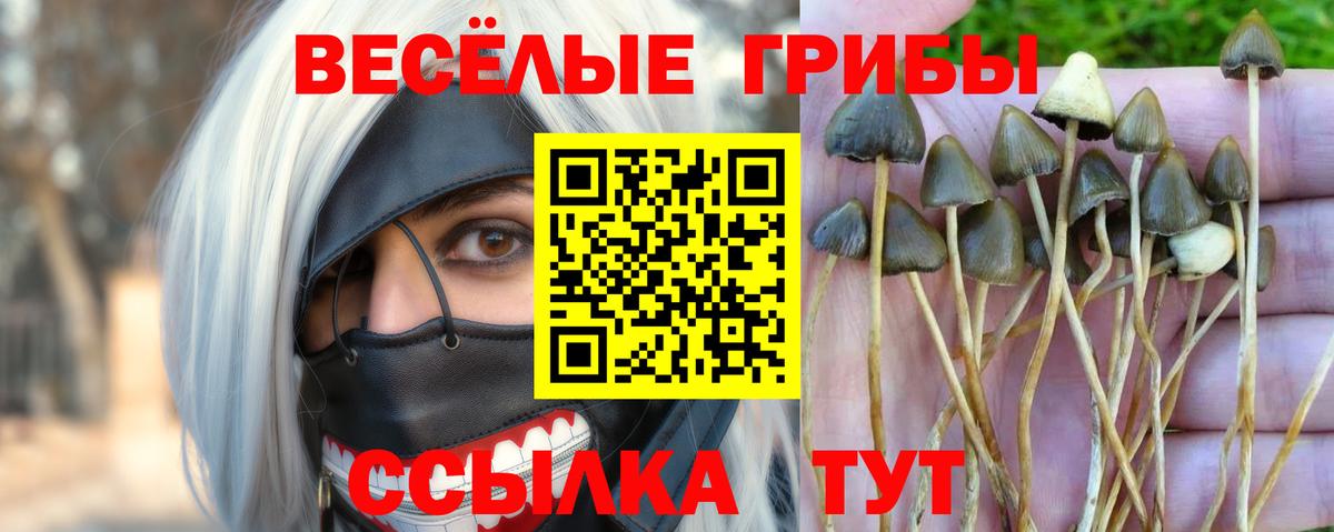 Галлюциногенные грибы ЛСД Оренбург